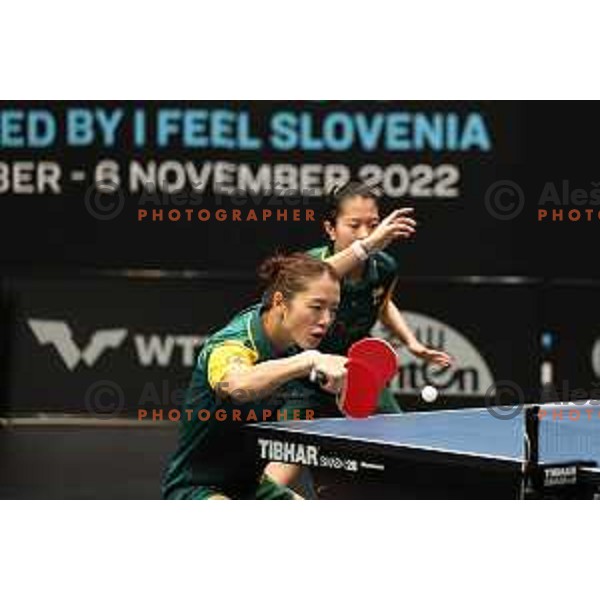 World Table Tennis Contender Nova Gorica, Slovenia on November 3, 2022