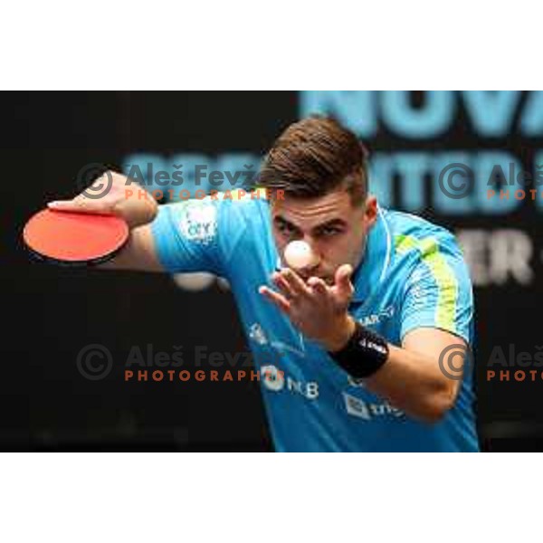 Darko Jorgic of Slovenia in action in quarter-final of World Table Tennis Contender Nova Gorica, Slovenia on November 5, 2022