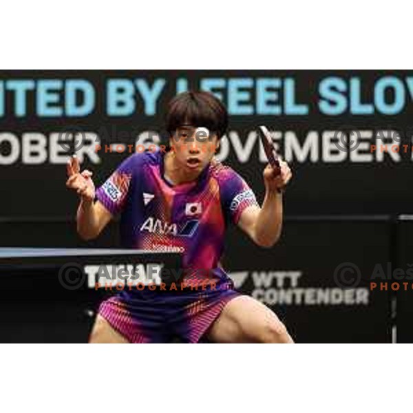 Hiroto Shinozuka of Japan in action during the Final of World Table Tennis Contender Nova Gorica, Slovenia on November 6, 2022