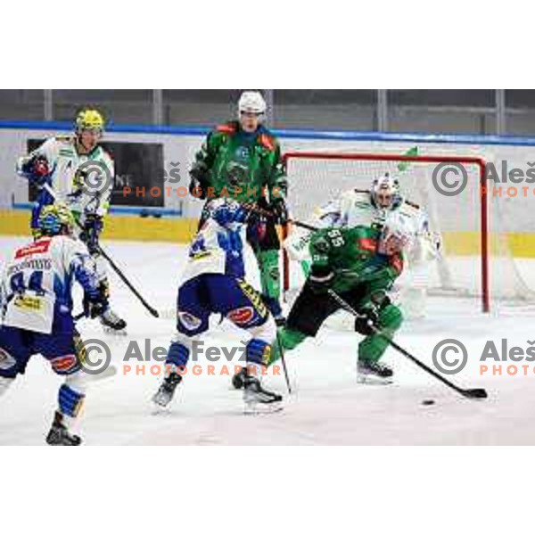 of SZ Olimpija during IceHL ice-hockey match between SZ Olimpija (SLO) and VSV (AUT) in Tivoli Hall, Ljubljana, Slovenia on November 23, 2022