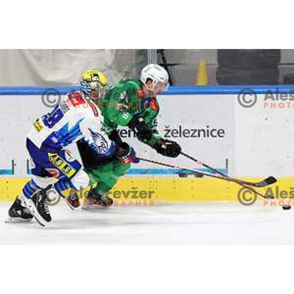 Luka Kalan of SZ Olimpija in action during IceHL ice-hockey match between SZ Olimpija (SLO) and VSV (AUT) in Tivoli Hall, Ljubljana, Slovenia on November 23, 2022