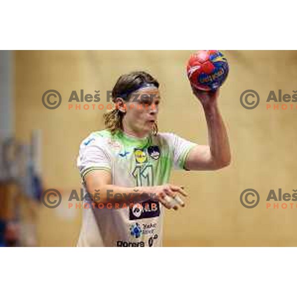 Jure Dolenec in action during a friendly handball match between Slovenia and Hungary in Ljutomer, Slovenia on January 5, 2023 
