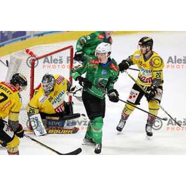 of SZ Olimpija during IceHL ice-hockey match between SZ Olimpija (SLO) and Vienna Capitals (AUT) in Tivoli Hall, Ljubljana, Slovenia on January 8, 2023
