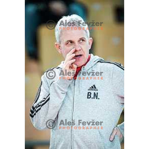 Bruno Najdic, head coach of Nova KBM Branik during CEV Cup Volleyball 2023 match between Nova KBM Branik and e-work Busto Arsizio in Lukna, Maribor, Slovenia on January 10, 2023. Photo: Jure Banfi