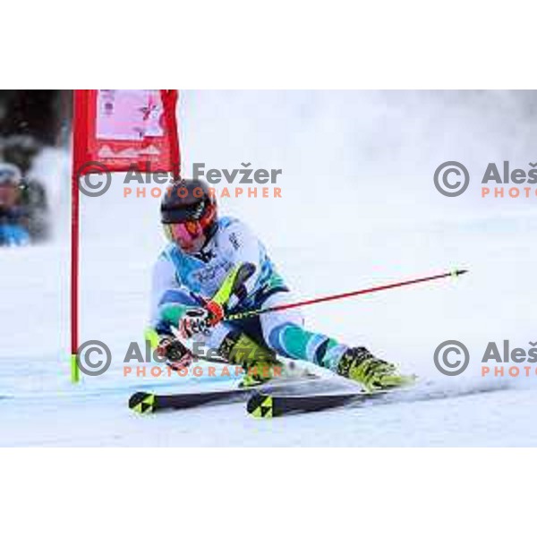 Miha Oserban (SLO), winner of boys Giant Slalom at European Youth Olympic Festival-EYOF Tarvisio 2023 on January 27, 2023