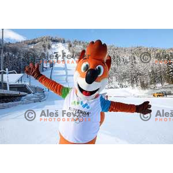 European Youth Olympic Festival in Ski jumping mix team event in Planica during EYOF Tarvisio 2023 on January 27, 2023