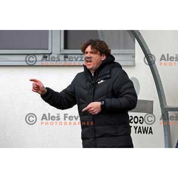 Roman Pylypchuk, head coach of Celje in action during Prva Liga Telemach 2022-2023 football match between Tabor Sezana and Celje in Sezana, Slovenia on February 18, 2023