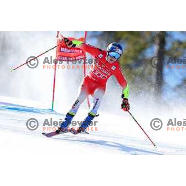 Marco Odermatt (SUI) skies in first run of AUDI FIS Ski World Cup Giant Slalom for 62.Vitranc Cup, Kranjska Gora, Slovenia on March 11, 2023