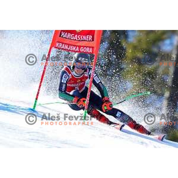 Lucas Braathen (NOR) skies in first run of AUDI FIS Ski World Cup Giant Slalom for 62.Vitranc Cup, Kranjska Gora, Slovenia on March 11, 2023