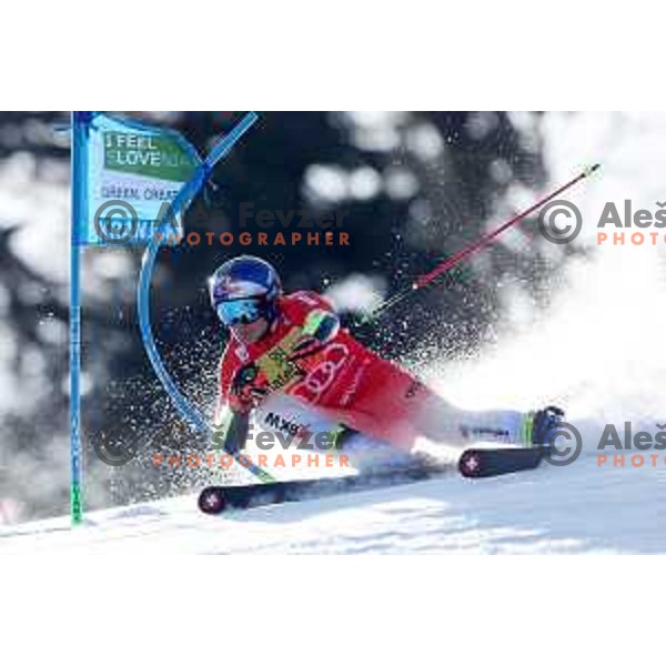 Marco Odermatt (SUI) skies in the first run of AUDI FIS Ski World Cup Giant Slalom for 62.Vitranc Cup, Kranjska Gora, Slovenia on March 12, 2023