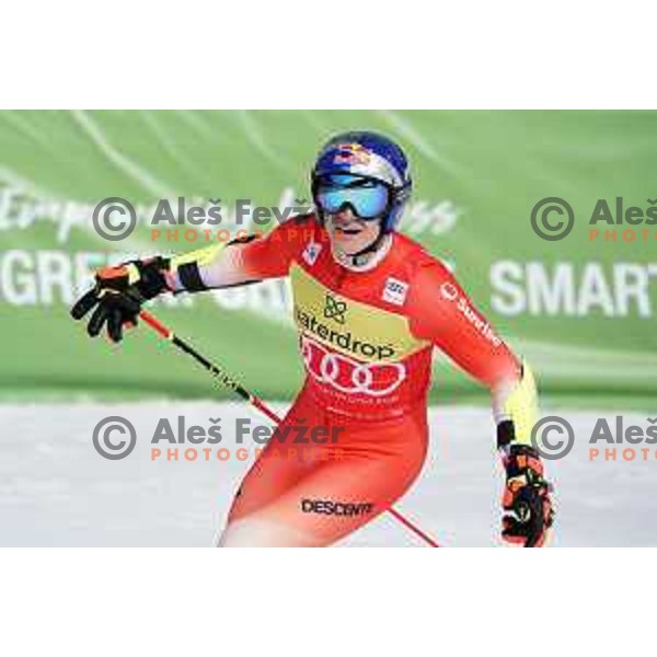 of AUDI FIS Ski World Cup Giant Slalom for 62.Vitranc Cup, Kranjska Gora, Slovenia on March 12, 2023