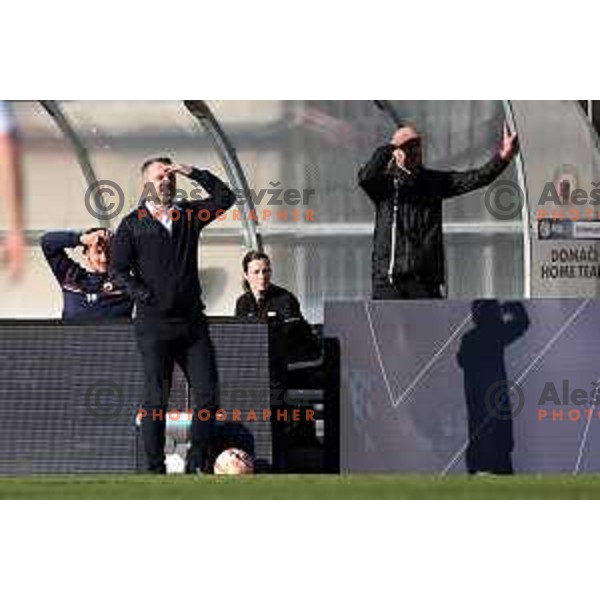 Dusan Kosic, head coach of Tabor during Prva Liga Telemach 2022-2023 football match between Tabor Sezana and Gorica in Sezana on March 16, 2023
