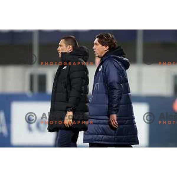 Darijan Matic and Roman Pylypchuk during Prva Liga Telemach 2022-2023 football match between Celje and Domzale in Celje, Slovenia on March 18, 2023