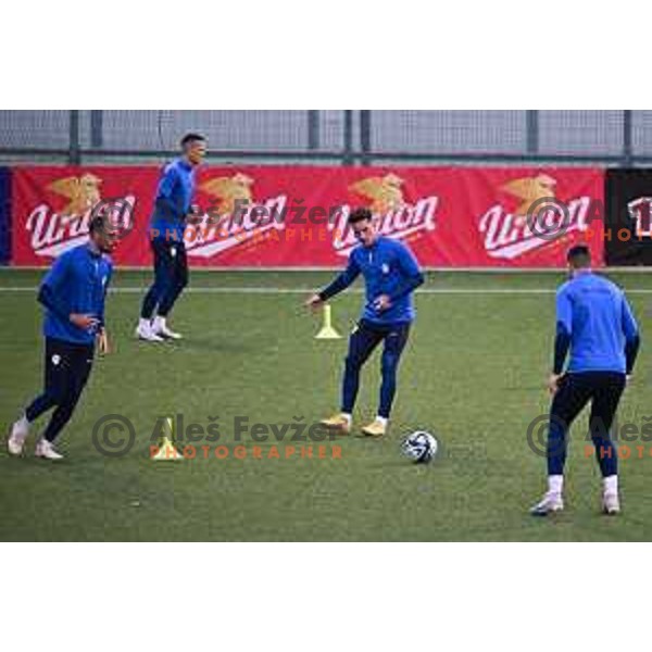 Practice session of Slovenia National Football team in Kranj on March 20, 2023