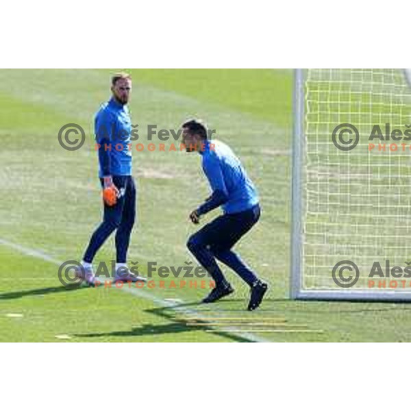 Vid Belec during practice session of Slovenia National football team at NNC Brdo, Slovenia on March 21, 2023