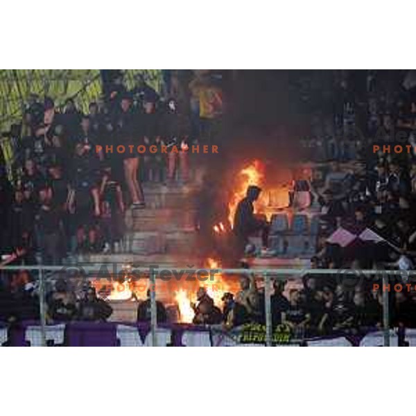 Viole and fans of Maribor at Pivovarna Union Slovenian Cup match between Olimpija and Maribor in Celje on May 6, 2023
