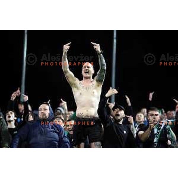 Green Dragons, fans of Olimpija celebrate victory at Pivovarna Union Slovenian Cup match between Olimpija and Maribor in Celje on May 6, 2023