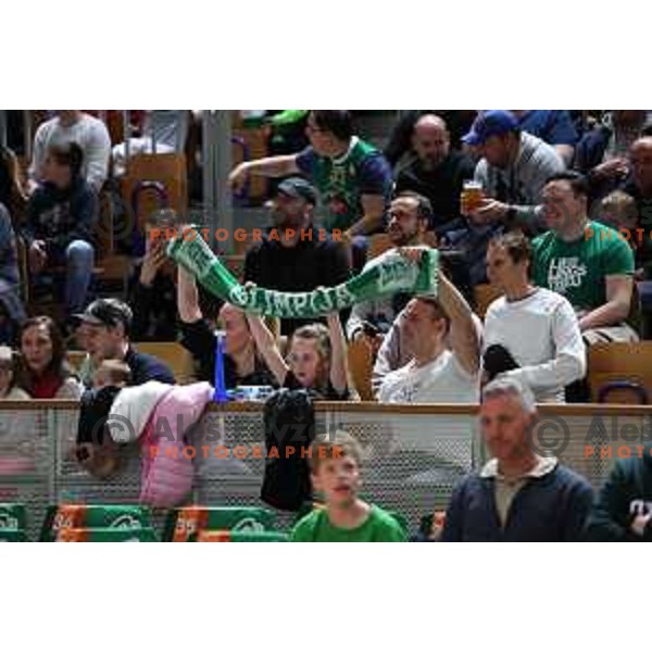 Fans of Cedevita Olimpija during the third match of quarter-final of ABA league between Cedevita Olimpija and FMP in Ljubljana, Slovenia on May 13, 2023