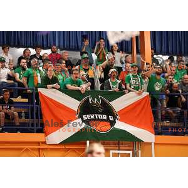 Fans of Cedevita Olimpija in action during the third game of The Final of Nova KBM league between Cedevita Olimpija and Helios Suns in Domzale, Slovenia on June 8, 2023 Foto: Filip Barbalic