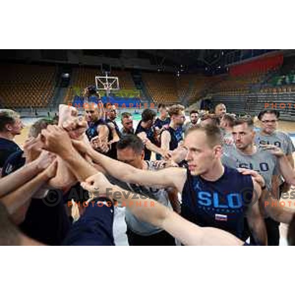Aleksander Sekulic, head coach of Slovenia National Basketball team during a practice session in Arena Zlatorog in Celje on July 18, 2023