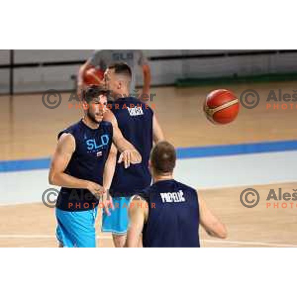Aleksej Nikolic of Slovenia National Basketball team during a practice session in Arena Zlatorog in Celje on July 18, 2023