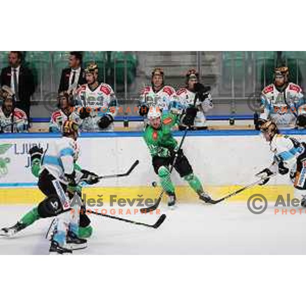 IceHL match between SZ Olimpija and Black Wings Linz in Ljubljana, Slovenia on September 15, 2023