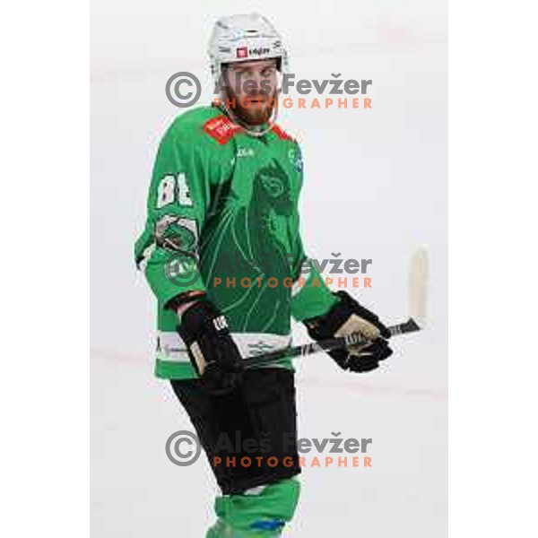 Miha Zajc in action during IceHL match between SZ Olimpija and Black Wings Linz in Ljubljana, Slovenia on September 15, 2023