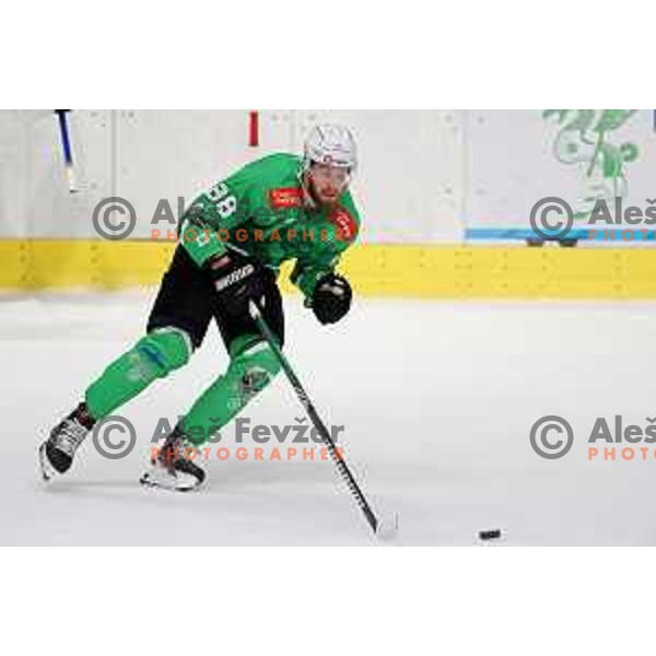 Miha Zajc in action during IceHL match between SZ Olimpija and Black Wings Linz in Ljubljana, Slovenia on September 15, 2023