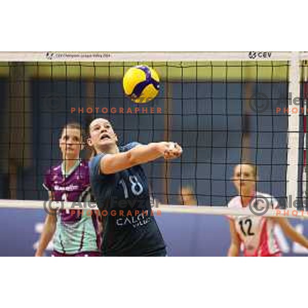 Masa Pucelj in action during Sportklub 1A DOL league volleyball match between Calcit Volley and Nova KBM Branik in Kamnik, Slovenia on October 20, 2023