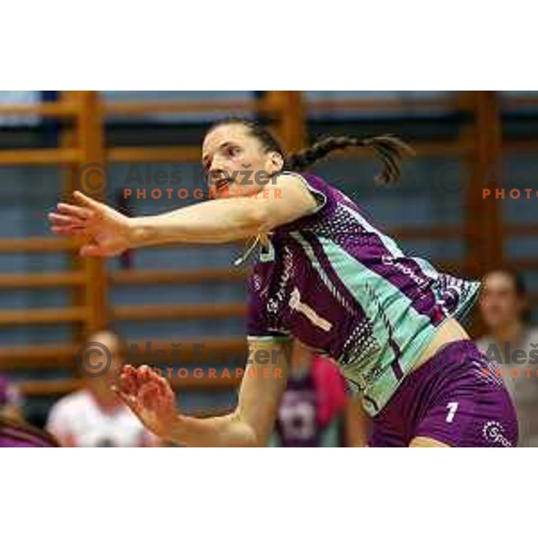 in action during Sportklub 1A DOL league volleyball match between Calcit Volley and Nova KBM Branik in Kamnik, Slovenia on October 20, 2023