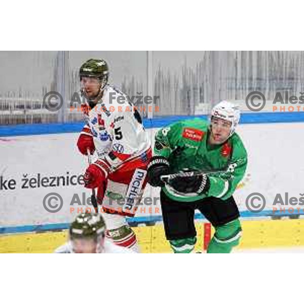 Marcel Mahkovec in action during IceHL match between SZ Olimpija and Sudtirol Alperia in Tivoli Hall, Ljubljana, Slovenia on October 22, 2023