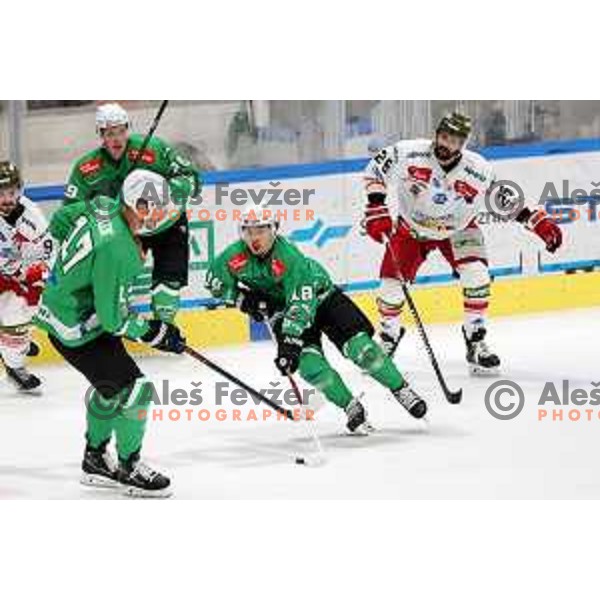 Jure Povse in action during IceHL match between SZ Olimpija and Sudtirol Alperia in Tivoli Hall, Ljubljana, Slovenia on October 22, 2023 