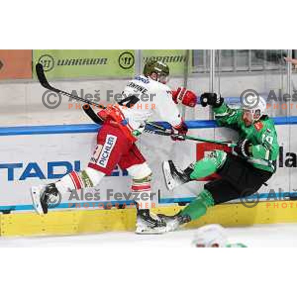 Rok Kapel in action during IceHL match between SZ Olimpija and Sudtirol Alperia in Tivoli Hall, Ljubljana, Slovenia on October 22, 2023