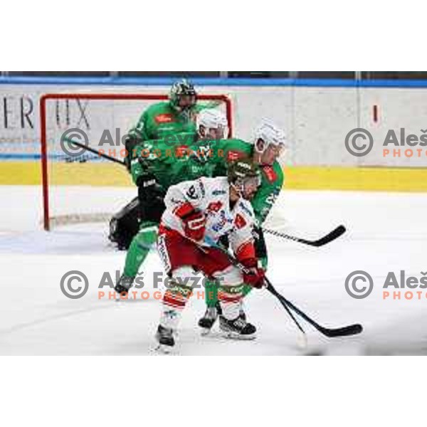 in action during IceHL match between SZ Olimpija and Sudtirol Alperia in Tivoli Hall, Ljubljana, Slovenia on October 22, 2023