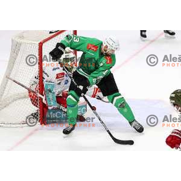 Ziga Pance in action during IceHL match between SZ Olimpija and Sudtirol Alperia in Tivoli Hall, Ljubljana, Slovenia on October 22, 2023 