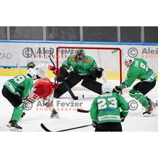 in action during IceHL match between SZ Olimpija and Sudtirol Alperia in Tivoli Hall, Ljubljana, Slovenia on October 22, 2023