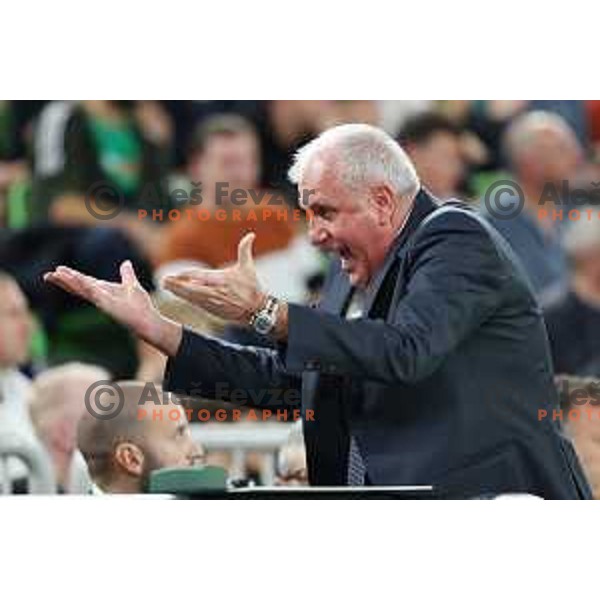Zeljko Obradovic, head coach of Partizan in action during ABA League 2023-2024 regular season basketball match between Cedevita Olimpija and Partizan Mozzart Bet in Ljubljana, Slovenia on November 20, 2023
