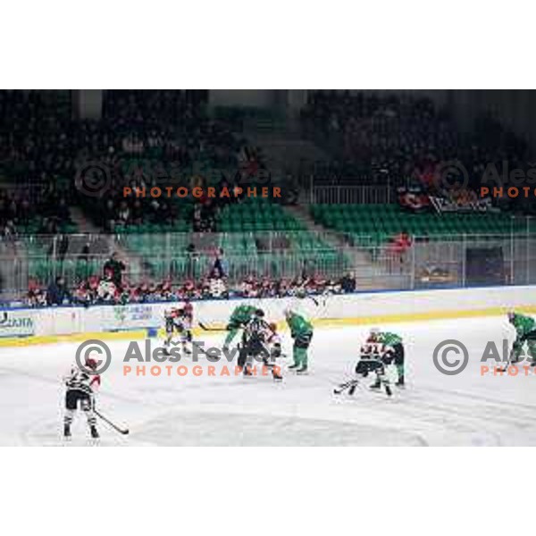 in action during the Slovenian Championships 2023/2024 ice-hockey match between SZ Olimpija and SIJ Acroni Jesenice in Ljubljana, Slovenia on January 30, 2024