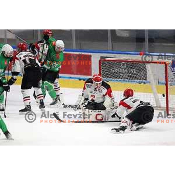 Zan Us in action during the Slovenian Championships 2023/2024 ice-hockey match between SZ Olimpija and SIJ Acroni Jesenice in Ljubljana, Slovenia on January 30, 2024 