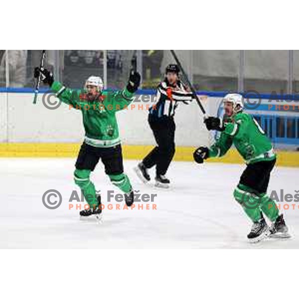 Ziga Pance in action during the Slovenian Championships 2023/2024 ice-hockey match between SZ Olimpija and SIJ Acroni Jesenice in Ljubljana, Slovenia on January 30, 2024