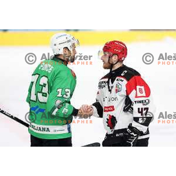 Ziga Pance and Gasper Glavic in action during the Slovenian Championships 2023/2024 ice-hockey match between SZ Olimpija and SIJ Acroni Jesenice in Ljubljana, Slovenia on January 30, 2024