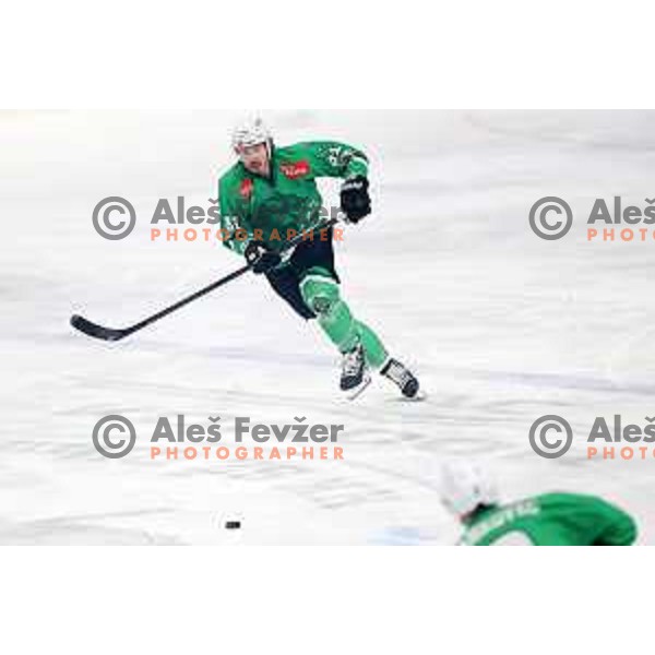 Charles Dodero in action during the Slovenian Championships 2023/2024 ice-hockey match between SZ Olimpija and SIJ Acroni Jesenice in Ljubljana, Slovenia on January 30, 2024
