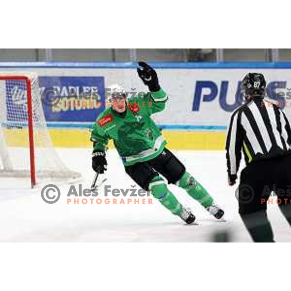 Trevor Gooch celebrates a goal during the Slovenian Championships 2023/2024 ice-hockey match between SZ Olimpija and SIJ Acroni Jesenice in Ljubljana, Slovenia on January 30, 2024