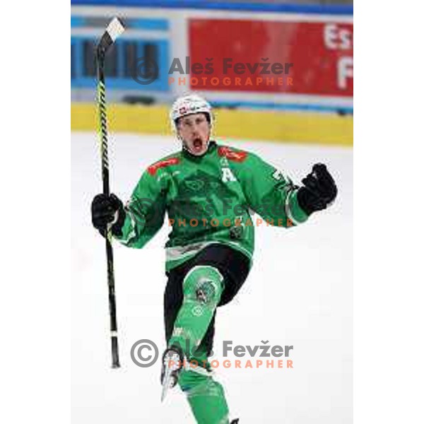 Trevor Gooch celebrates a goal during the Slovenian Championships 2023/2024 ice-hockey match between SZ Olimpija and SIJ Acroni Jesenice in Ljubljana, Slovenia on January 30, 2024