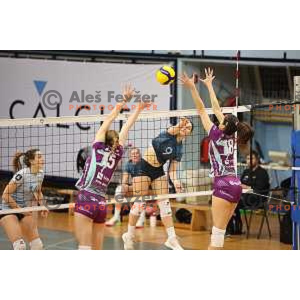 Asja Sen in action during Sportklub 1A DOL league volleyball match between Calcit Volley and Nova KBM Branik in Kamnik, Slovenia on January 31, 2024