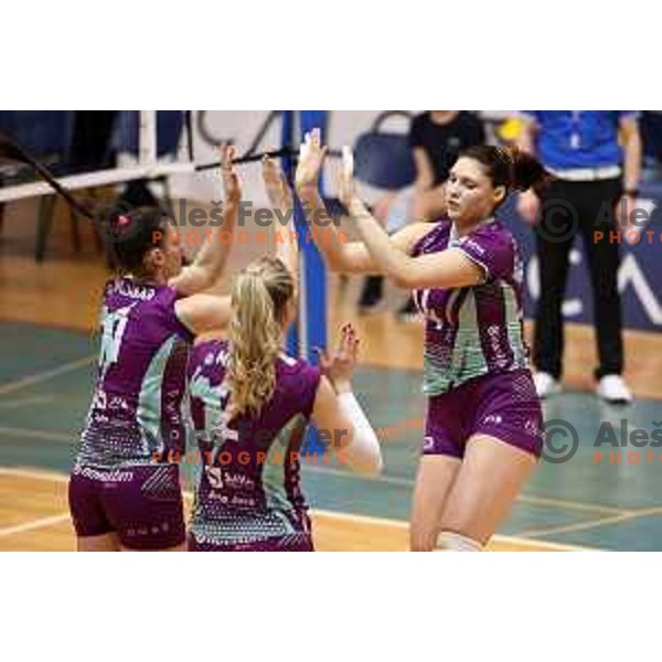 in action during Sportklub 1A DOL league volleyball match between Calcit Volley and Nova KBM Branik in Kamnik, Slovenia on January 31, 2024