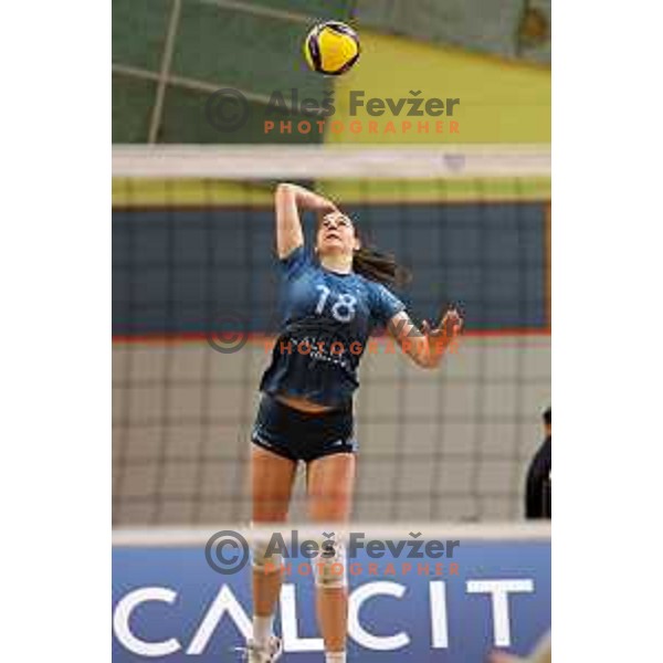 Masa Pucelj in action during Sportklub 1A DOL league volleyball match between Calcit Volley and Nova KBM Branik in Kamnik, Slovenia on January 31, 2024