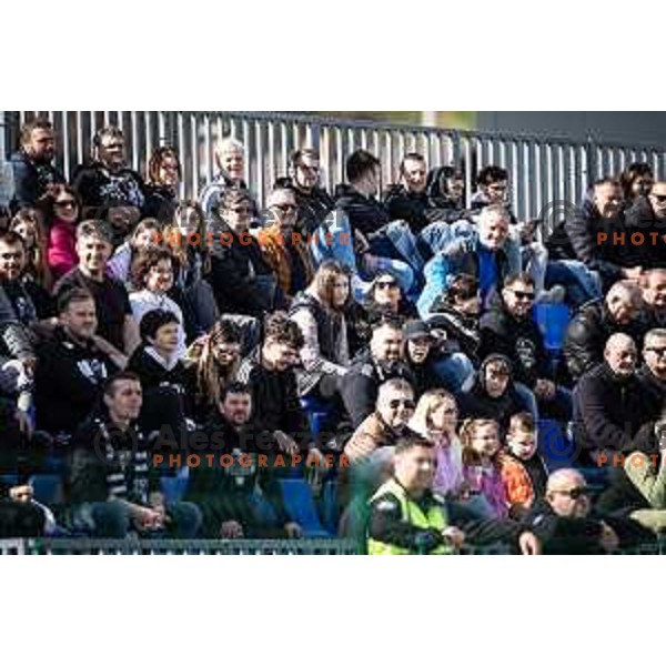 Mura supporters during Prva liga Telemach football match between Rogaska and Mura in Sportni center Rogaska Slatina, Slovenia on March 17, 2024. Photo: Jure Banfi