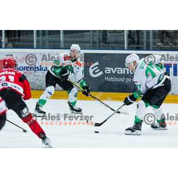 BICEVSKIS Maris of HK SZ Olimpija In action during the fourth game of the Final of the Slovenian Ice-hockey League between SZ Olimpija and SIJ Acroni Jesenice in Tivoli Hall, Ljubljana, Slovenia on March 15, 2024