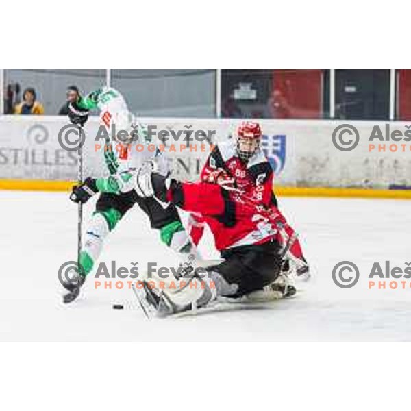 PANCE Ziga of HK SZ Olimpija and US Zan of HDD SIJ Acroni Jesenice In action during the fourth game of the Final of the Slovenian Ice-hockey League between SZ Olimpija and SIJ Acroni Jesenice in Tivoli Hall, Ljubljana, Slovenia on March 15, 2024